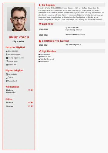 Diş Hekimi cv indir